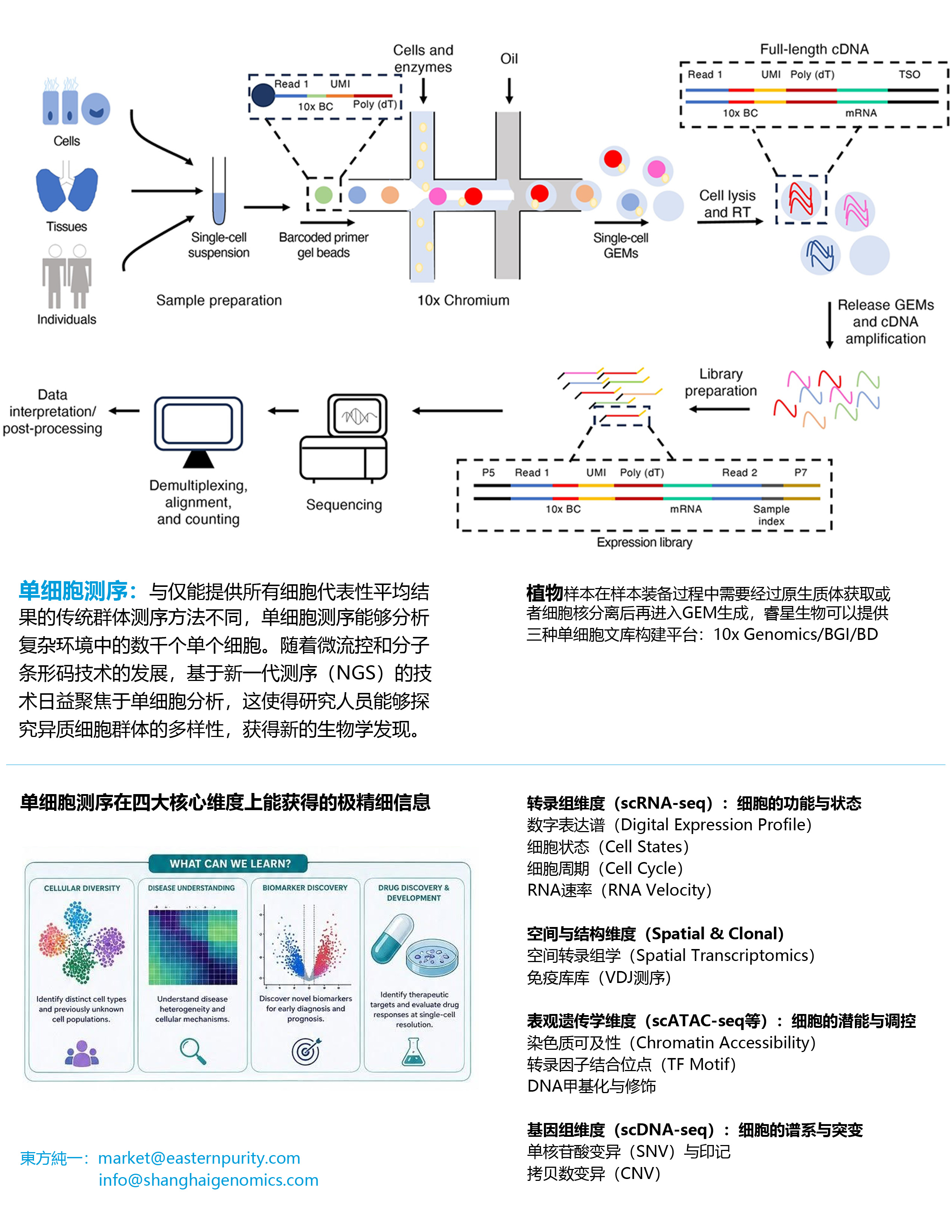 单细胞测序技术路线图